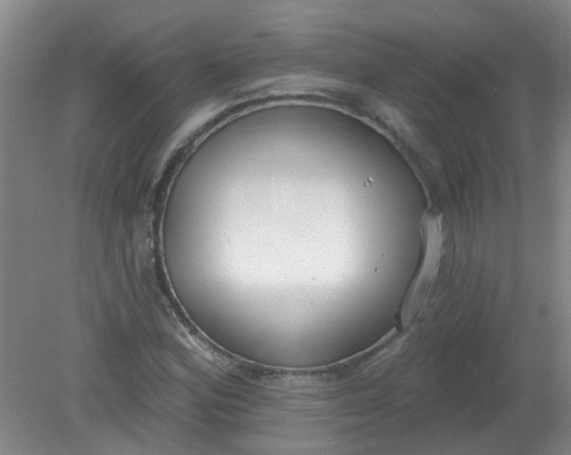 X0000079311164200612011809