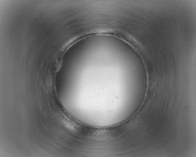 X0000079311169200612011808