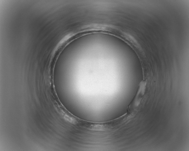 X0000079311172200612011808