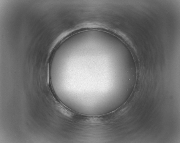 X0000079311175200612011808