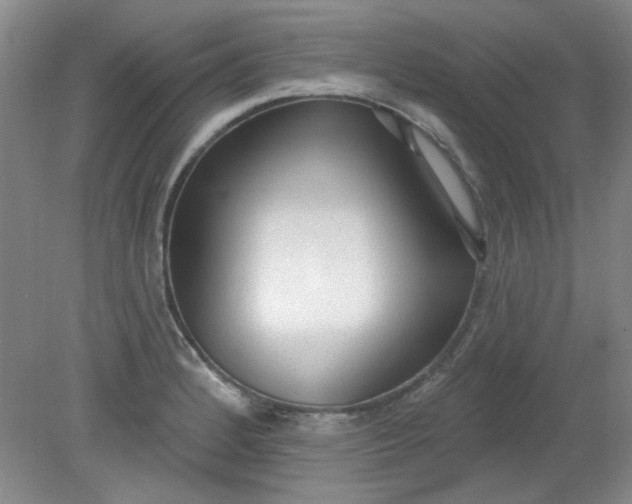X0000079311184200612011808