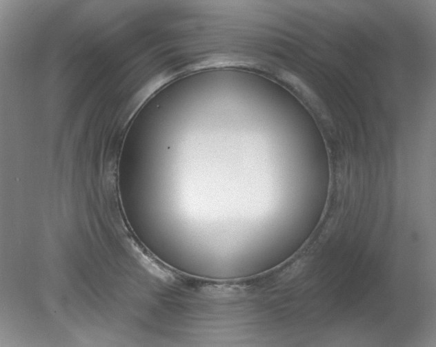 X0000079311185200612011808