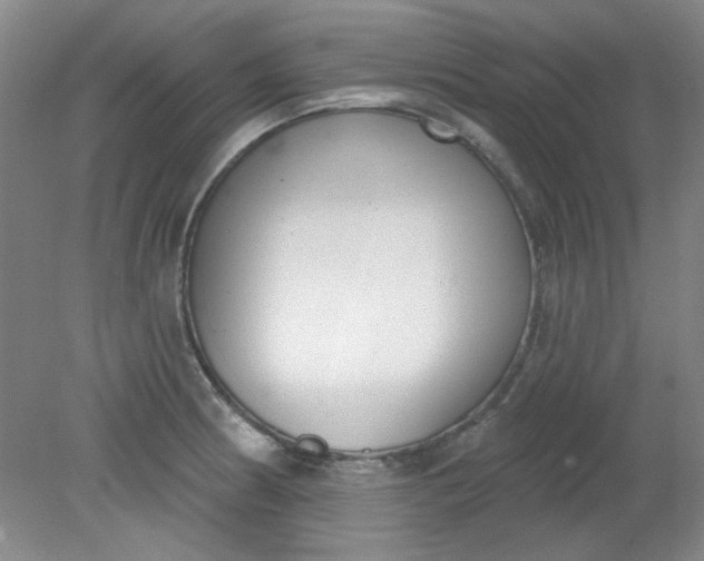 X0000079311186200612011808