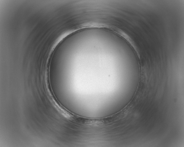 X0000079311187200612011808