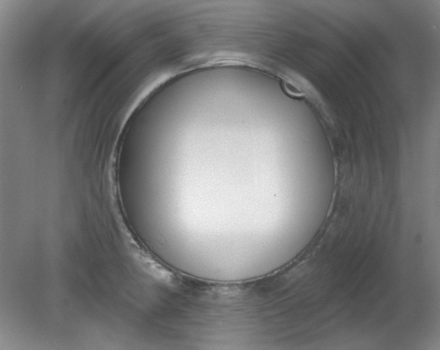 X0000079311190200612011808