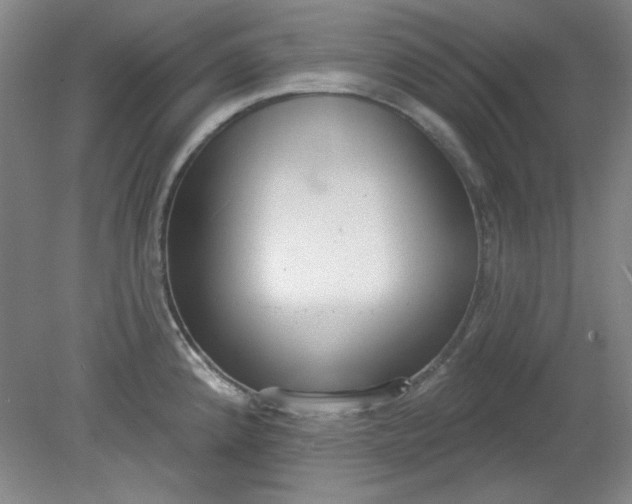 X0000079311192200612011808