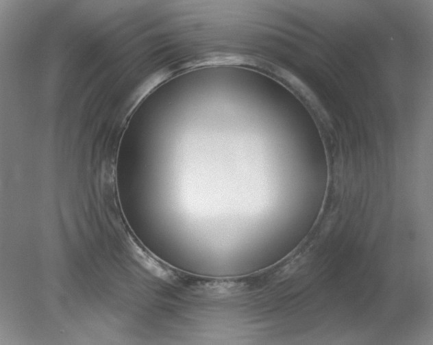 X0000079311193200612011808