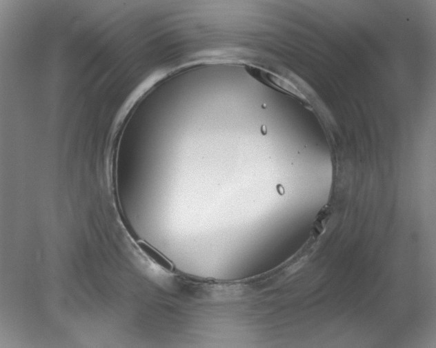 X0000079311196200612011808
