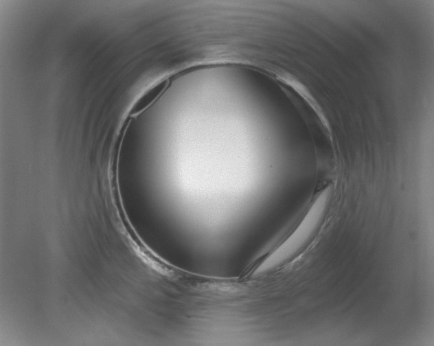 X0000079311197200612011808