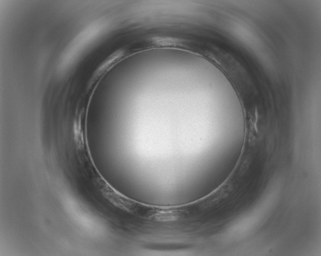 X0000079311198200612011808