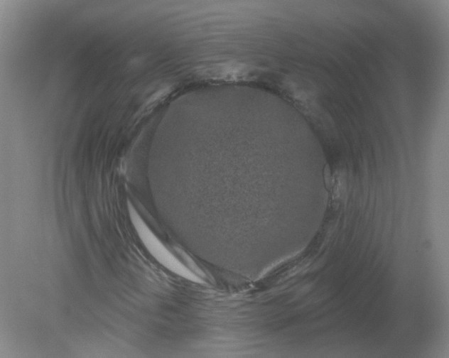 X0000079311202200612011807