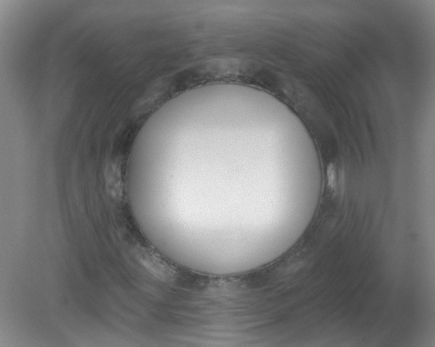 X0000079311203200612011807