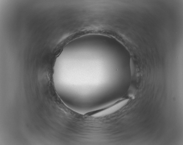 X0000079311206200612011807