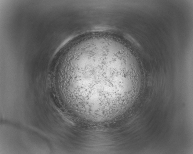 X0000079311208200612011807