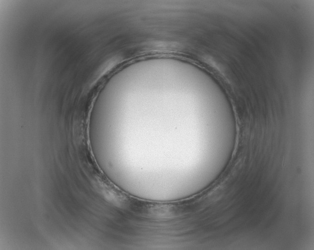 X0000079311211200612011807