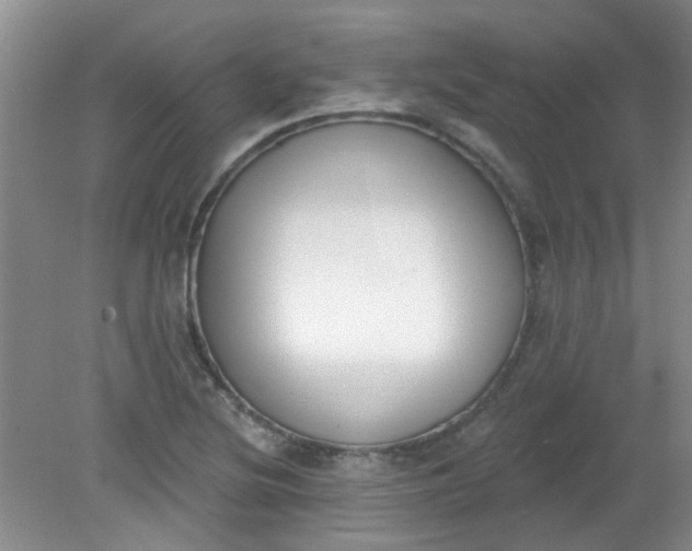 X0000079311220200612011807