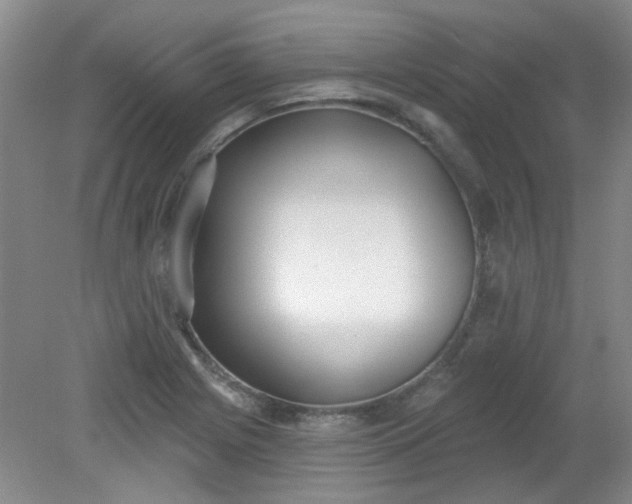 X0000079311225200612011808