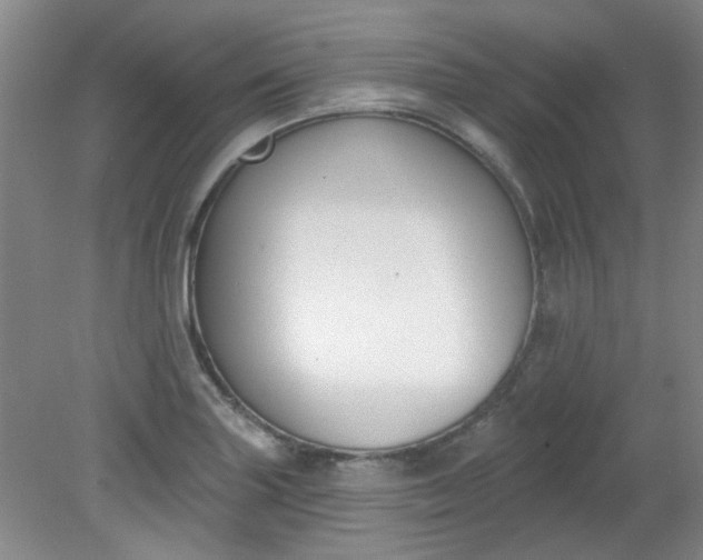 X0000079311227200612011808