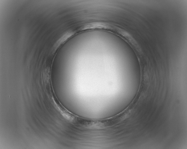 X0000079311233200612011808