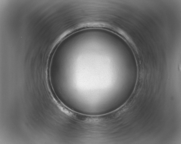 X0000079311237200612011808