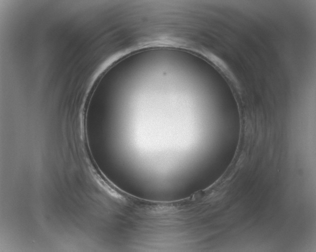 X0000079311238200612011808