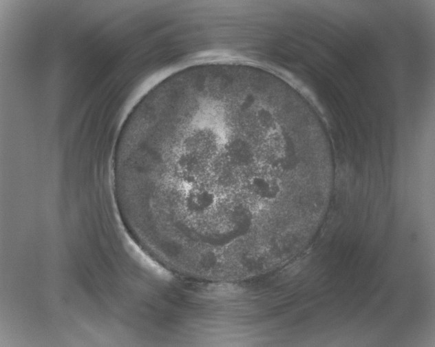 X0000079311239200612011808