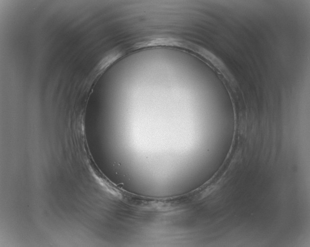 X0000079311241200612011808