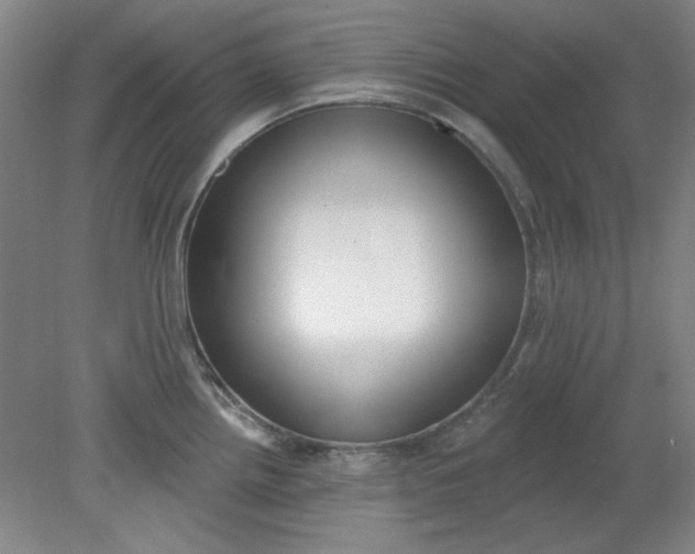 X0000079311242200612011808