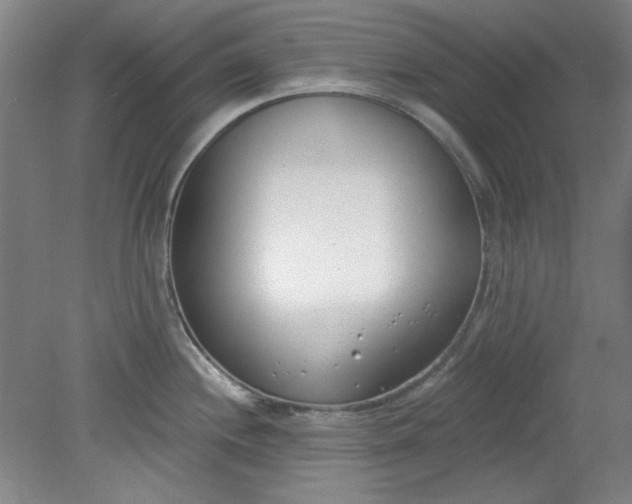 X0000079311244200612011808