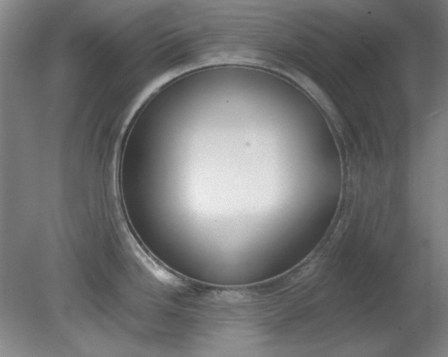 X0000079311246200612011808