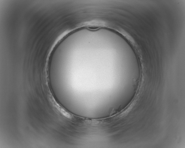 X0000079311248200612011808