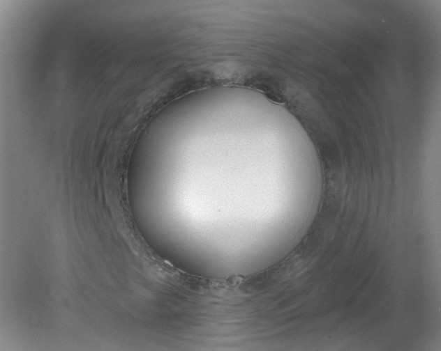 X0000079311249200612011807