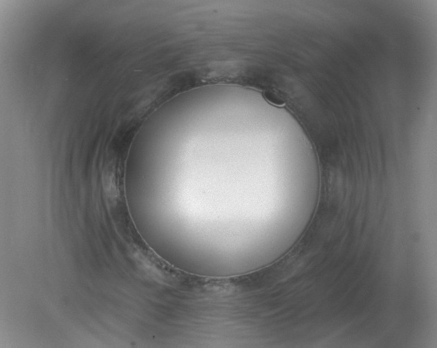 X0000079311250200612011807