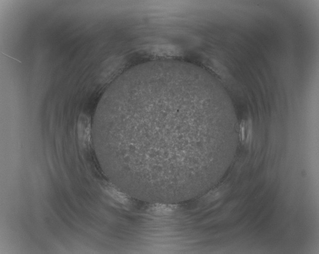 X0000079311251200612011807