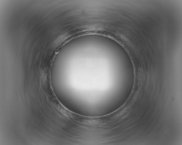 X0000079311257200612011807