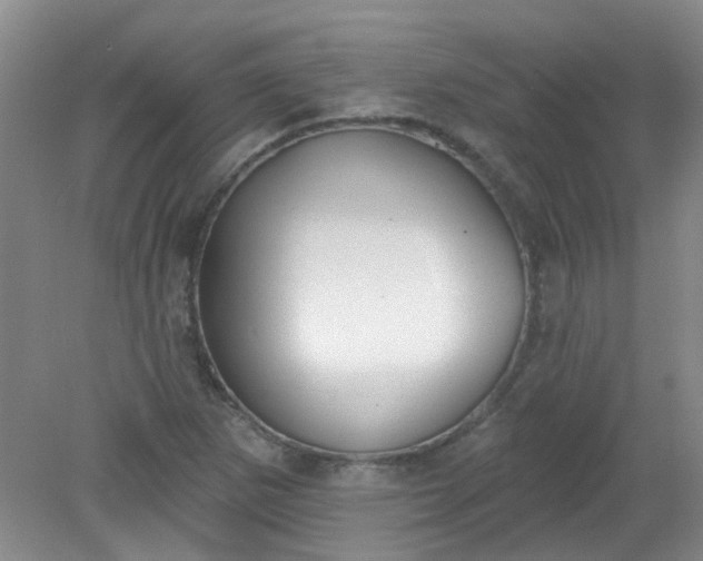 X0000079311265200612011807