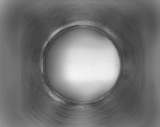 X0000079311272200612011807
