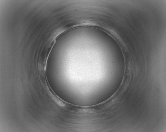 X0000079311281200612011807