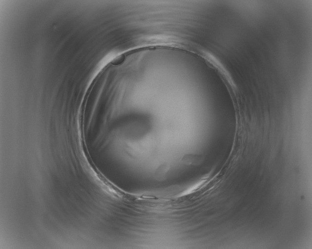 X0000079311291200612011806