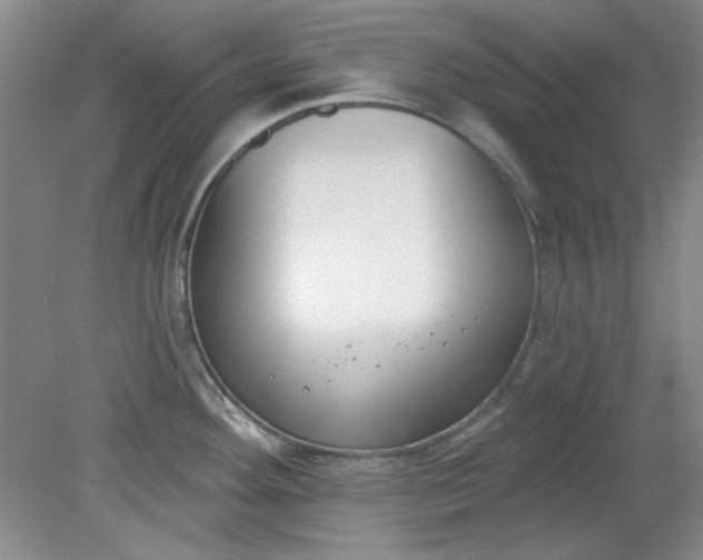 X0000079311292200612011806