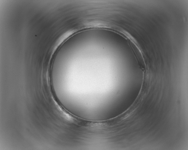 X0000079311293200612011806