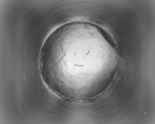 X0000079311295200612011806