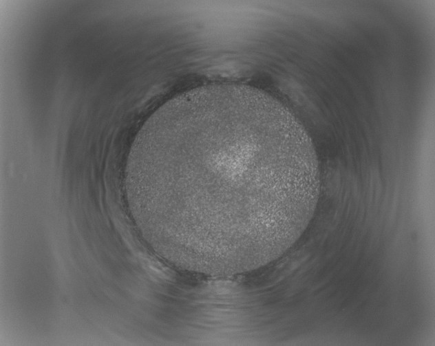 X0000079311297200612011806