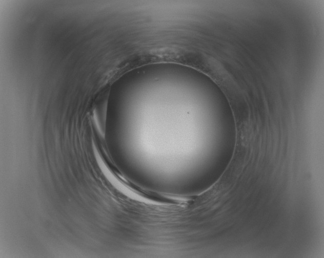 X0000079311298200612011806