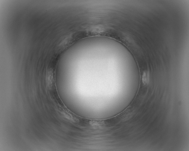 X0000079311299200612011806