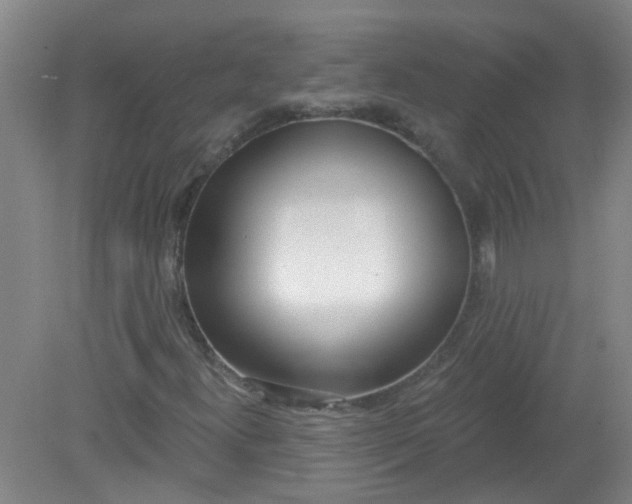X0000079311300200612011806