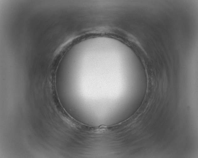 X0000079311304200612011806