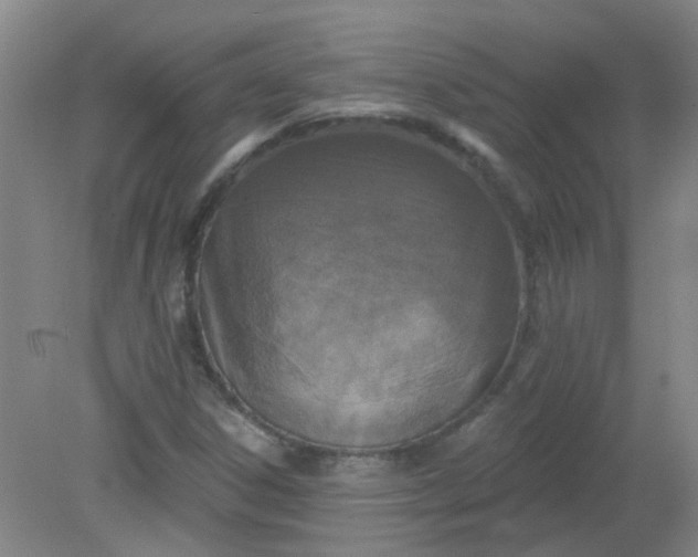 X0000079311306200612011806