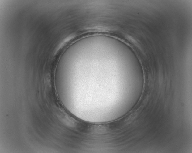 X0000079311307200612011806