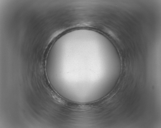 X0000079311308200612011806